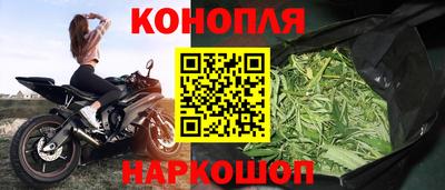 гидропоника Кингисепп