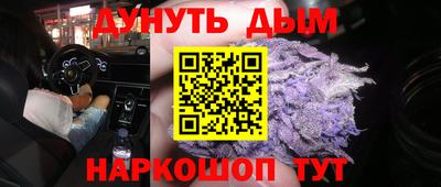 гидропоника Кингисепп