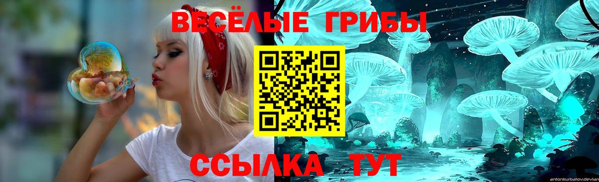 купить закладку  Вход с VPN  Заводоуковск  Галлюциногенные грибы прущие грибы 